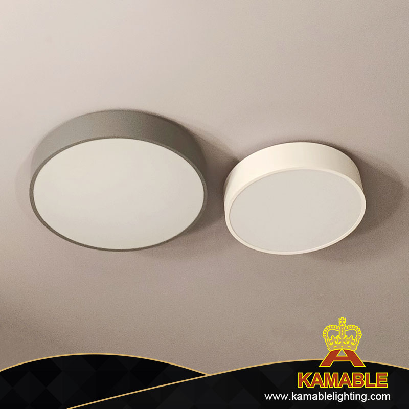 LED Manufacture Metal White Indoor Simple Ceiling Light (KH805/S)