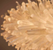 Modern Elegant design decorative art crystal pendant lamp (2120D80)
