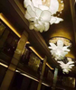 Gentle Design Luxury Flower Shape Corridor Project Crystal Chandelier (KA1027)