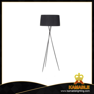 Modern Design Black Color Standing Lamp (FL550)