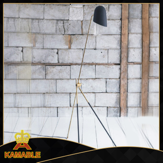 Fashion contracted design decoration floor lamp (KAF6059)