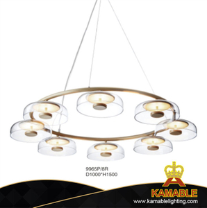 European Indoor Pendant Light (KA9965P/8R)