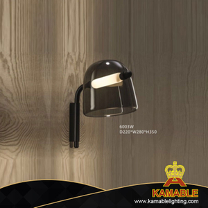 Simple Glass Indoor Wall Light (KA6003W)