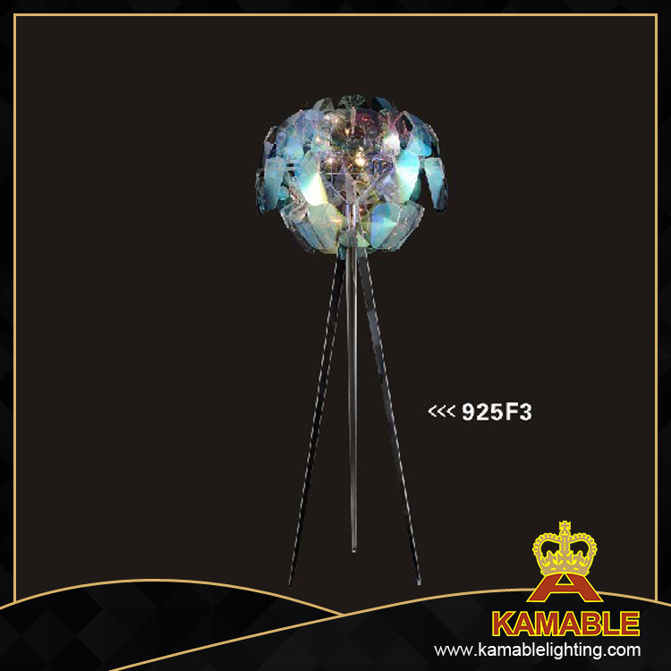 Modern Decorative Floor Lamp Lighting for Home (925F3)
