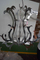 Mysterious design decorative modern interior pendant lights (80919(G9) ) 