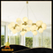 Golden Iron with Acrylic Shade Chandelier (KAP17-058)