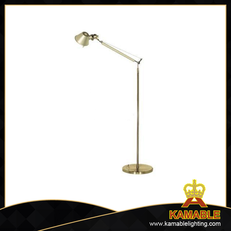 New design indoor decorative industrial floor lamp (F998 )