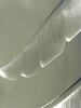 Decorative Wings Iron Glass Acrylic Hanging Pendant Lamps(KA9171/L)