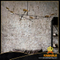 New style metal hanging pendant light (MD8117-8) 