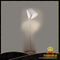 Hight Quality Modern Home Aluminum Floor Lamp (285F)