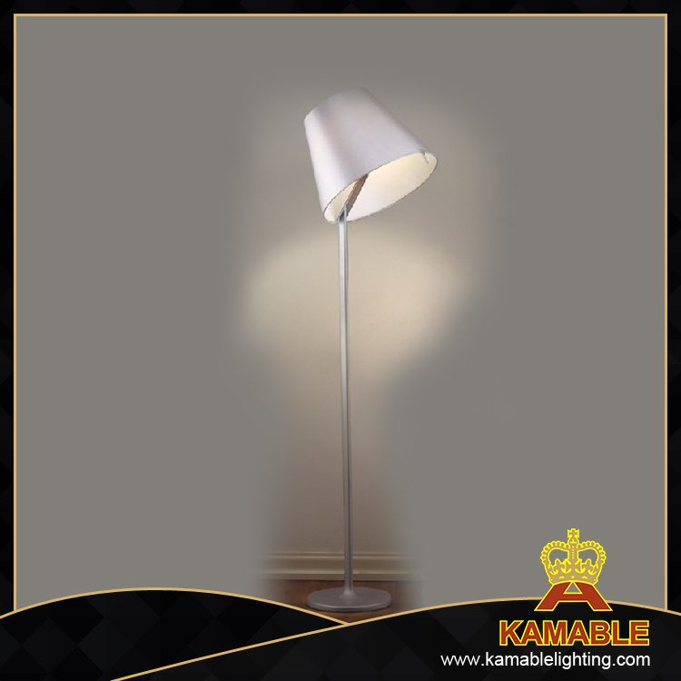 Hight Quality Modern Home Aluminum Floor Lamp (285F)