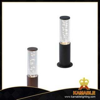 Inventive Design Decorative Metal Floor Lamp (60501)