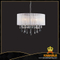 Cozy style decorative modern interior pendant lamps (cos9245 ) 