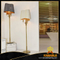 Contemporary Elegant Decorative Floor Lighting for Home (1142F)