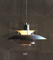 Contemporary aluminium decorative hotel pendant lamps (320S ) 
