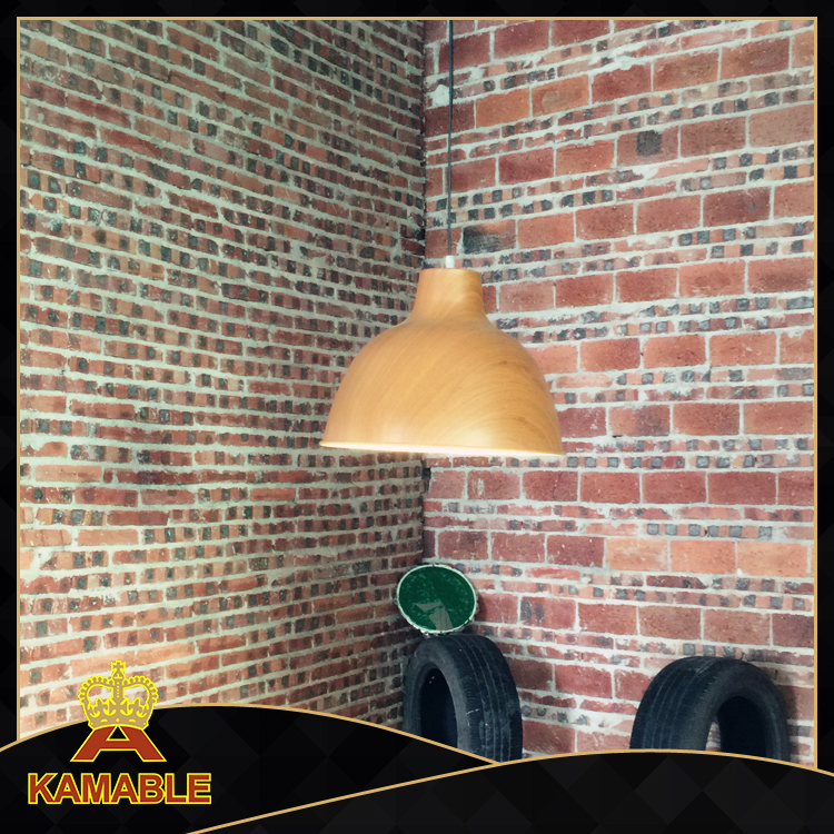 Aluminum pendant Lighting for Dining Room Parlor(AT406P-1)