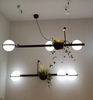 Villa Hotel Ecological Plant Hanging Pendant Lighting (HP813/1+1)