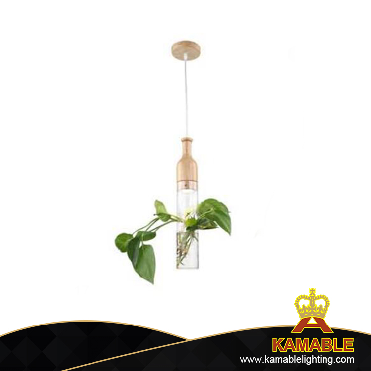 Golden metal home decorative industrial pendant lamp (KAPL01)