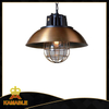 Industrial steel decorative pendant lighting (C7025(BRASS))