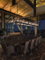 Modern black metal decorative interior pendant lamps (MD30206-15+2) 