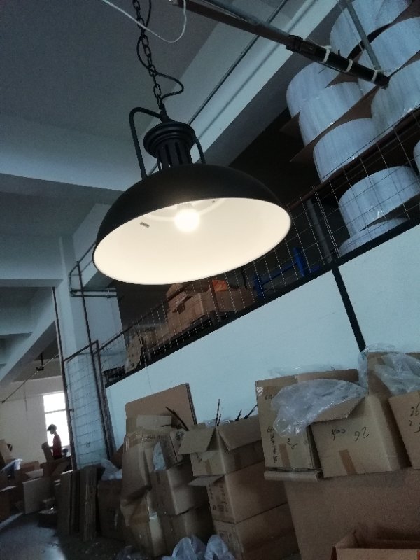 Black Steel Home Decorative Industrial Pendant Lamp (C725)