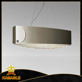 Customized Hanging Decorative stainless steel pendant lamps (KA00333)