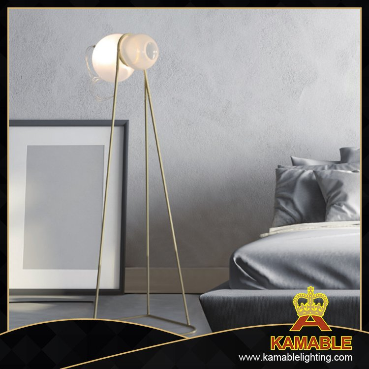 Modern Home Lighting Glass Shade Floor Lamp (ML8151-1)