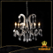 Pearl black frame decorative modern interior pendant lights (80904-L6 ) 